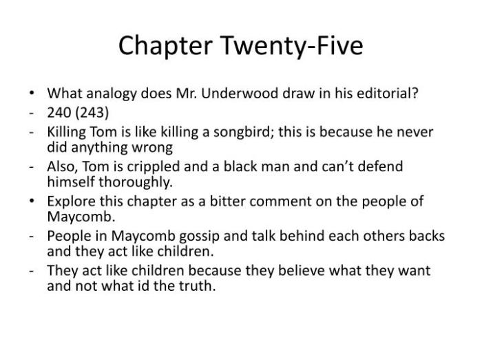 Chapter 25 summary of to kill a mockingbird