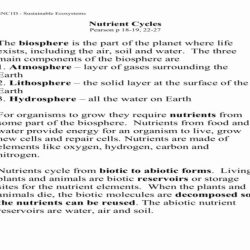 Nutrient cycles worksheet answer key