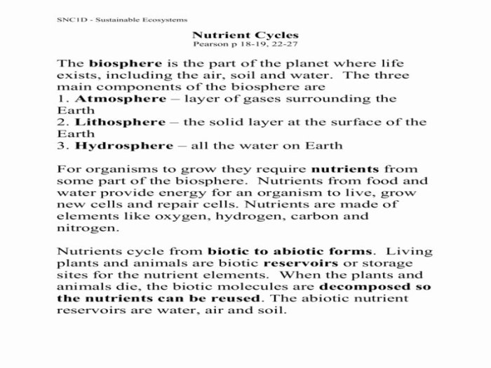 Nutrient cycles worksheet answer key