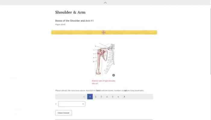 Trail guide to the body student workbook 6th edition