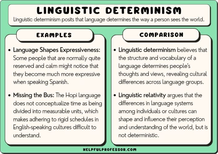 Linguistic determinism ap psychology example