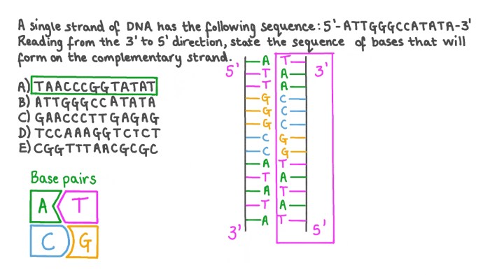 If a strand of dna has the nitrogen base sequence